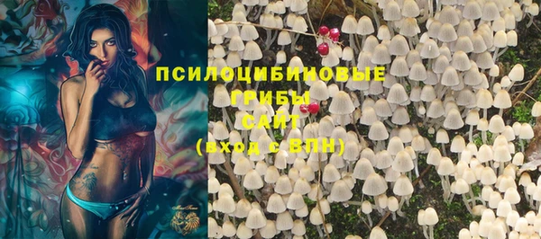 дурь Медногорск