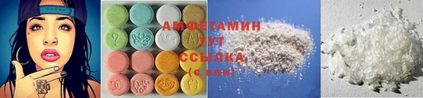 индика Гусь-Хрустальный
