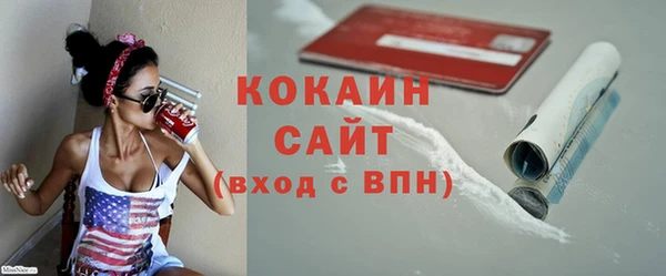 индика Гусь-Хрустальный