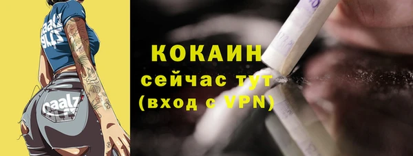 индика Гусь-Хрустальный
