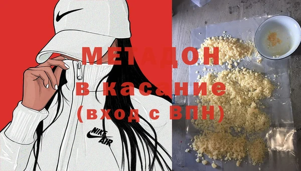 индика Гусь-Хрустальный
