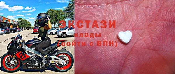 индика Гусь-Хрустальный