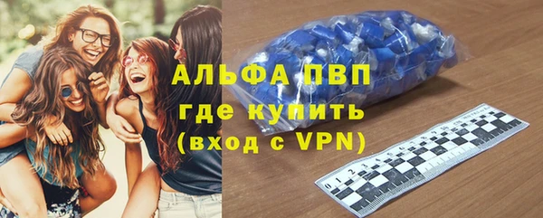 индика Гусь-Хрустальный