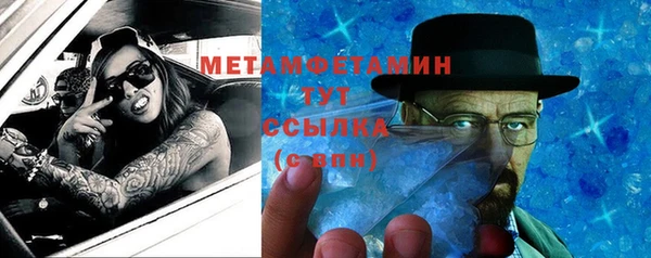 индика Гусь-Хрустальный