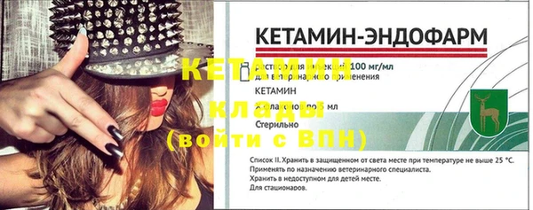 индика Гусь-Хрустальный
