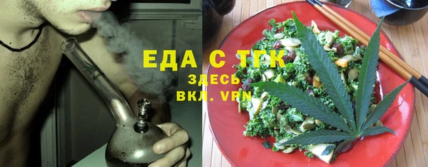 индика Гусь-Хрустальный