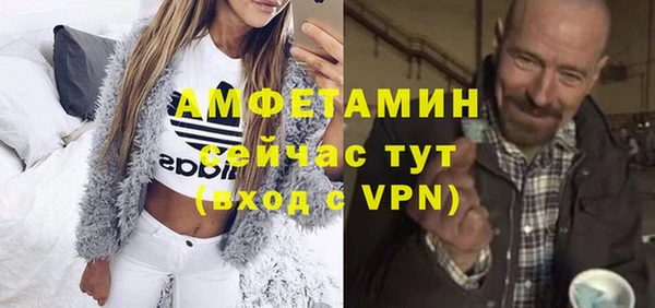 индика Гусь-Хрустальный
