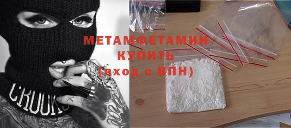 индика Гусь-Хрустальный