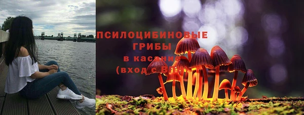 индика Гусь-Хрустальный