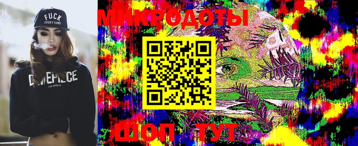 Псилоцибиновые грибы Psilocybe Звенигород